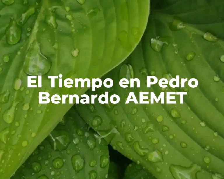 El Tiempo en Pedro Bernardo AEMET