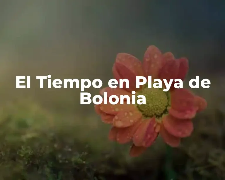 El Tiempo en Playa de Bolonia