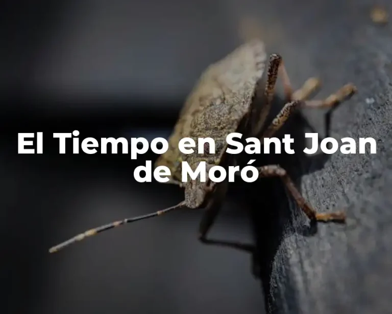 El Tiempo en Sant Joan de Moró