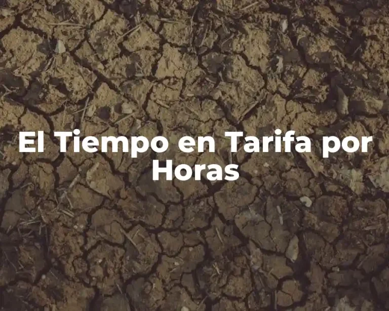 El Tiempo en Tarifa por Horas