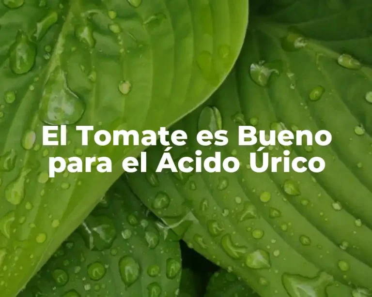 El Tomate es Bueno para el Ácido Úrico
