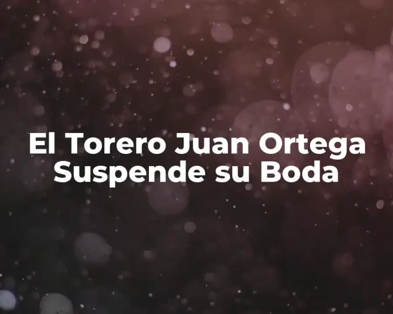 El Torero Juan Ortega Suspende su Boda