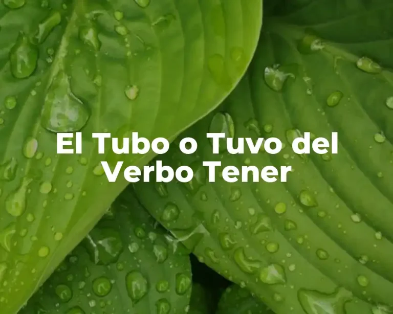 El Tubo o Tuvo del Verbo Tener