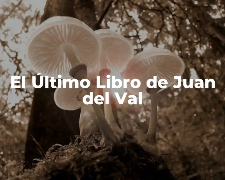 El Último Libro de Juan del Val