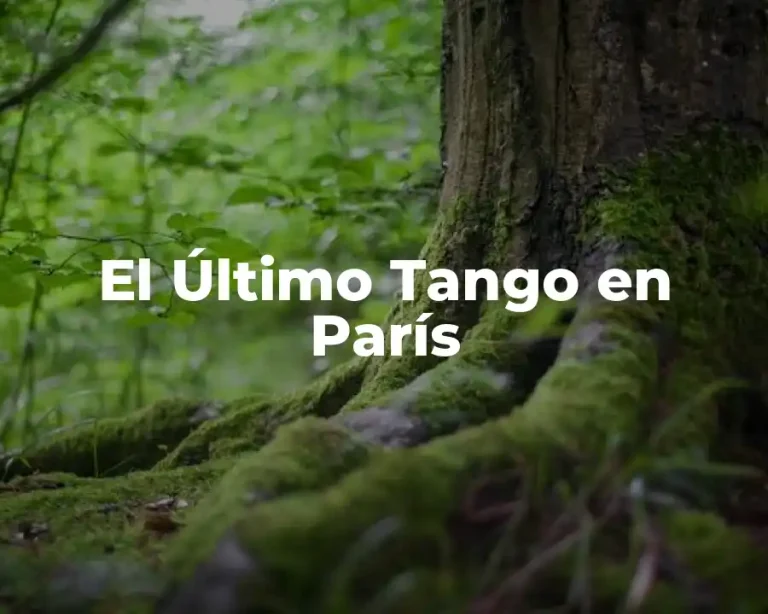 El Último Tango en París