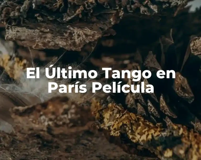 El Último Tango en París Película