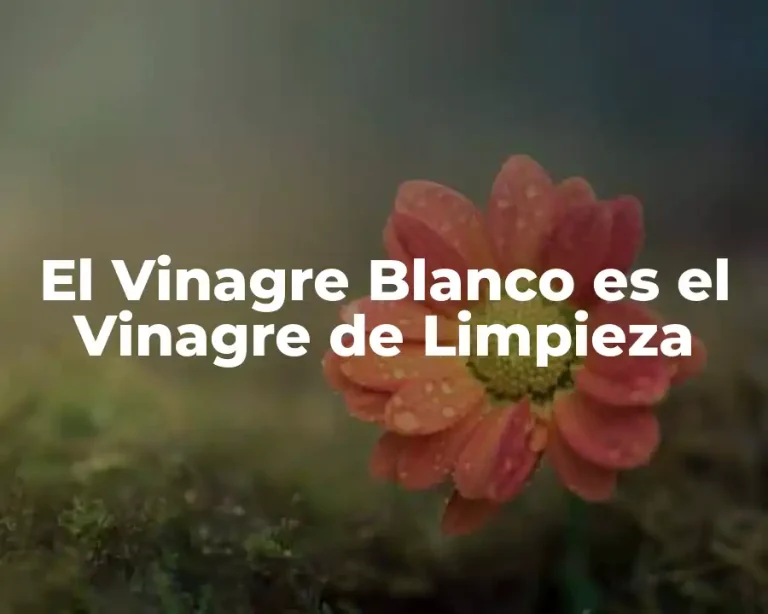 El Vinagre Blanco es el Vinagre de Limpieza