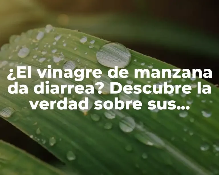 ¿El vinagre de manzana da diarrea? Descubre la verdad sobre sus beneficios y efectos secundarios