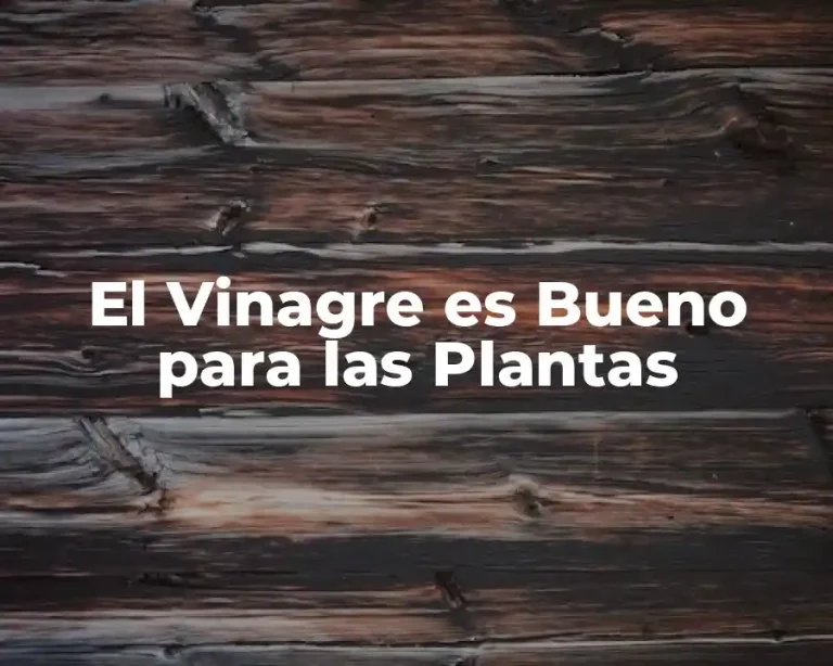El Vinagre es Bueno para las Plantas