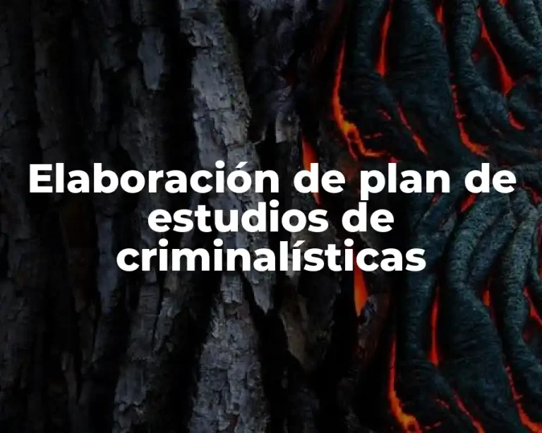 Elaboración de plan de estudios de criminalísticas
