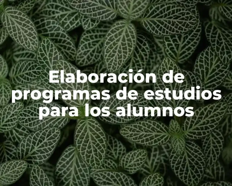 Elaboración de programas de estudios para los alumnos