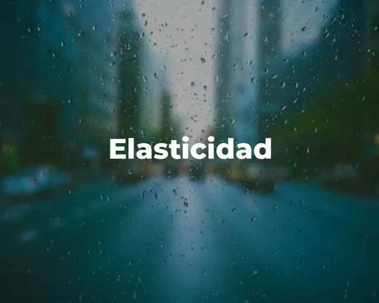 Elasticidad