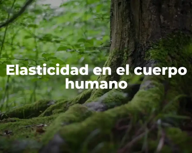 Elasticidad en el cuerpo humano
