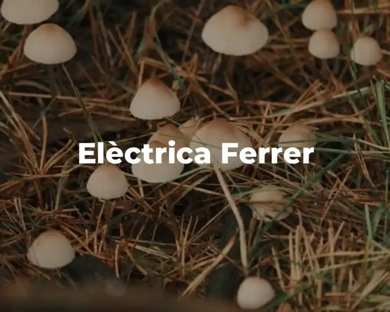 Elèctrica Ferrer