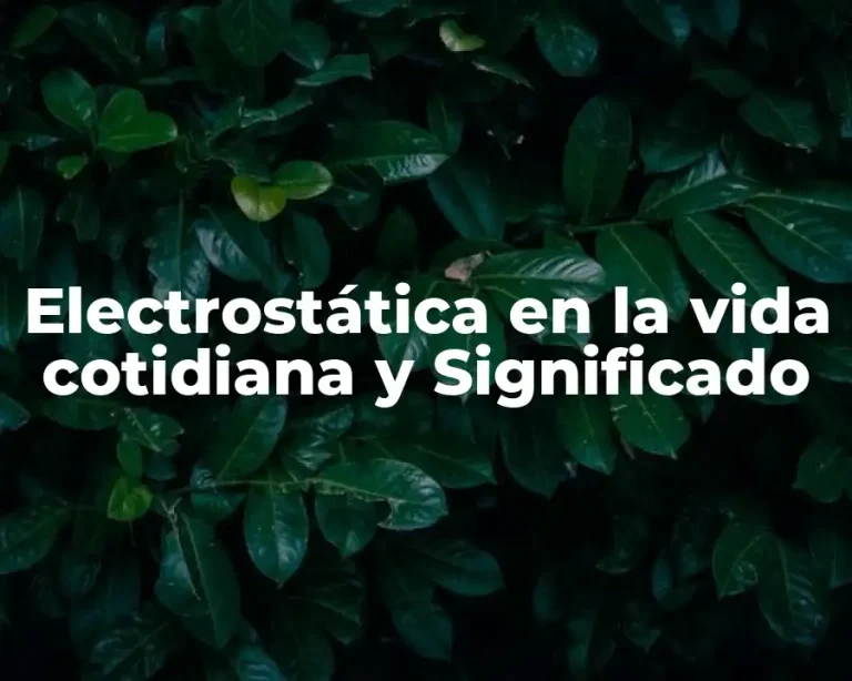 Electrostática en la vida cotidiana y Significado