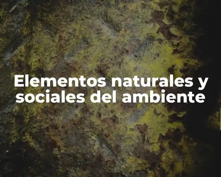 Elementos naturales y sociales del ambiente