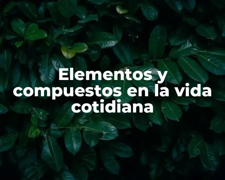 Elementos y compuestos en la vida cotidiana