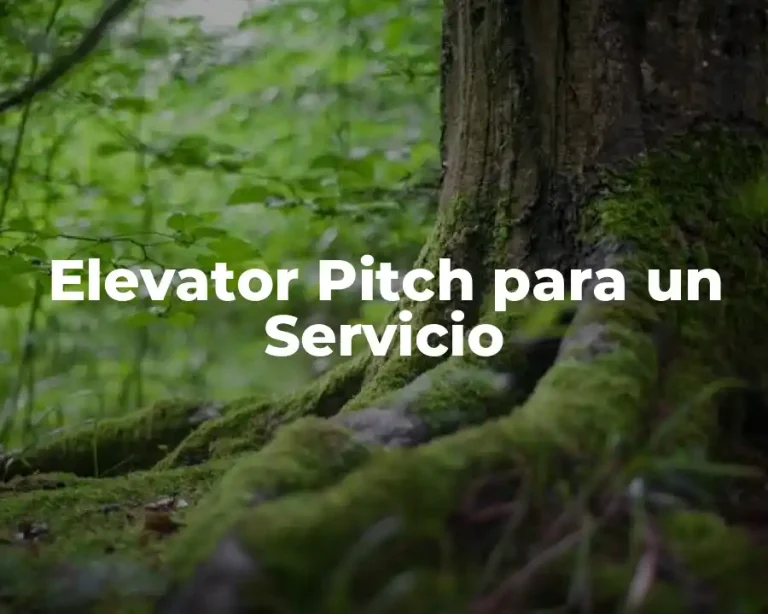 Elevator Pitch para un Servicio