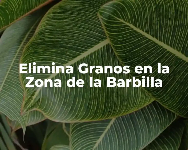 Elimina Granos en la Zona de la Barbilla