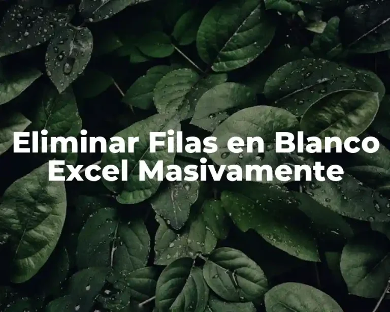 Eliminar Filas en Blanco Excel Masivamente