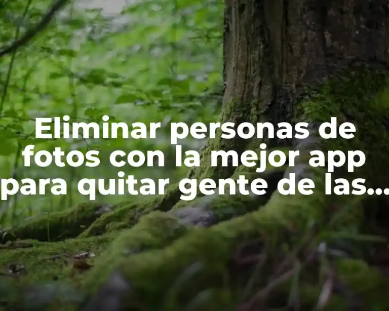 Eliminar personas de fotos con la mejor app para quitar gente de las fotos