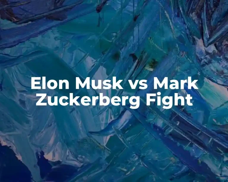 Elon Musk vs Mark Zuckerberg Fight