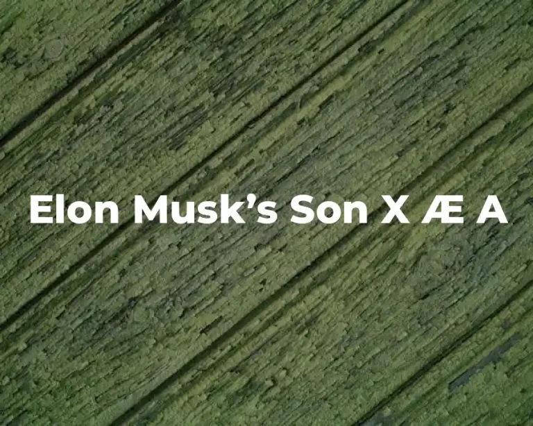 Elon Musk’s Son X Æ A