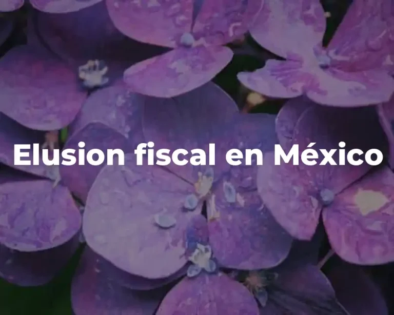 Elusion fiscal en México