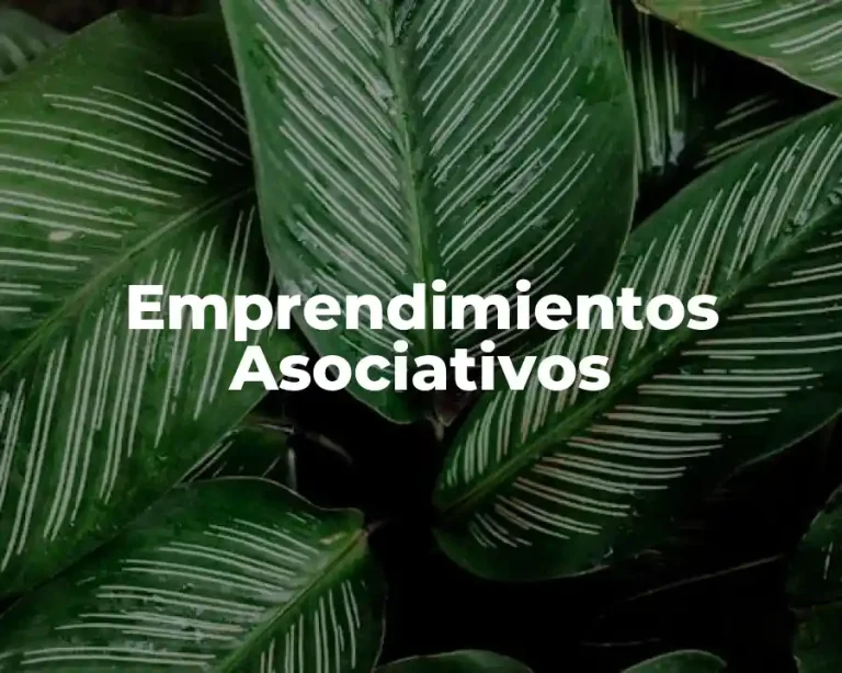 Emprendimientos Asociativos