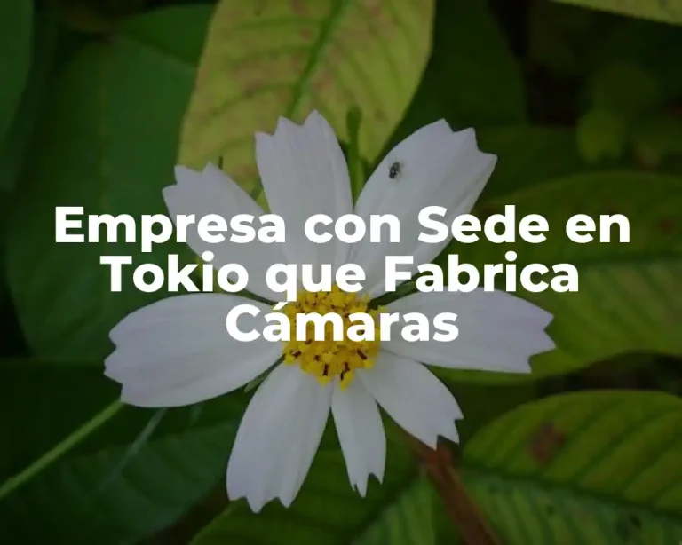 Empresa con Sede en Tokio que Fabrica Cámaras