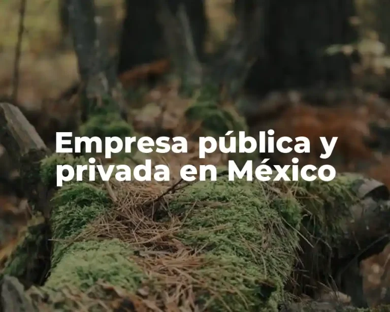 Empresa pública y privada en México