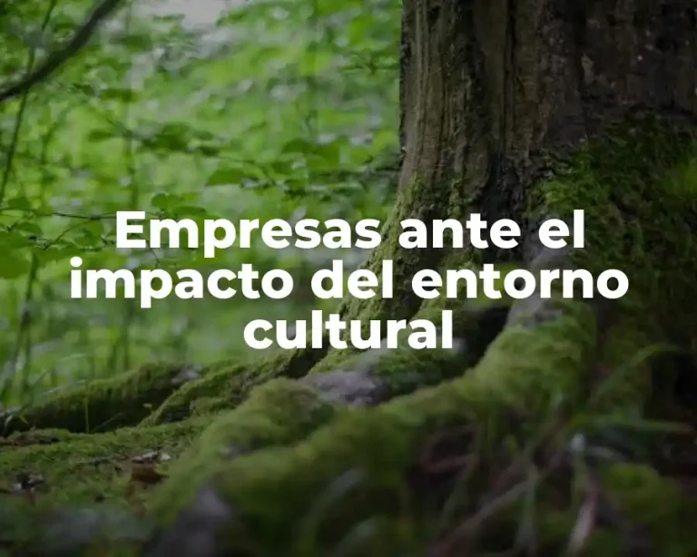 Empresas ante el impacto del entorno cultural