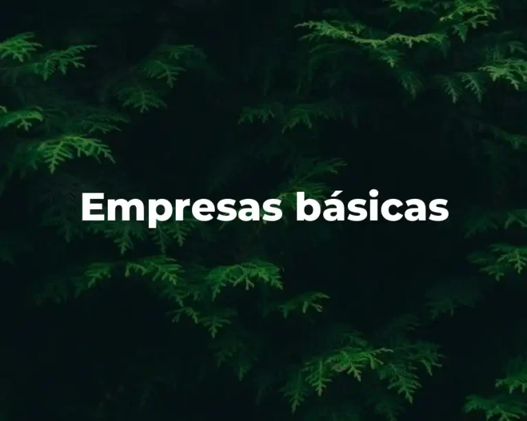 Empresas básicas