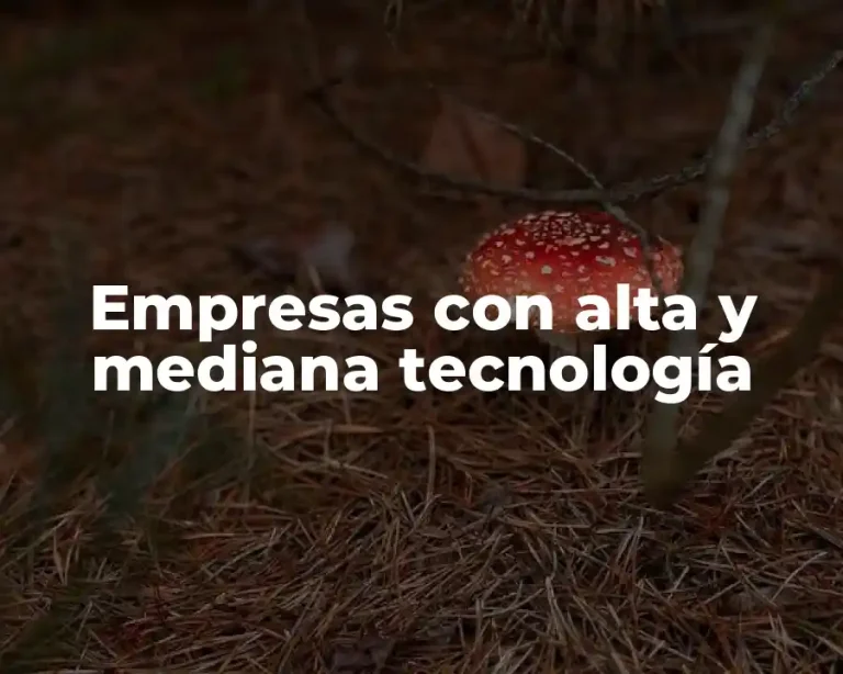 Empresas con alta y mediana tecnología