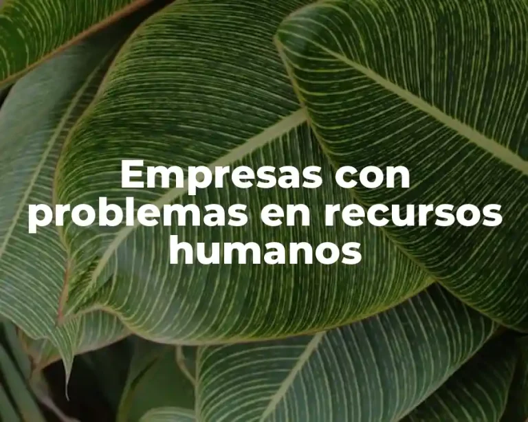 Empresas con problemas en recursos humanos