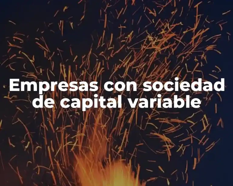 Empresas con sociedad de capital variable