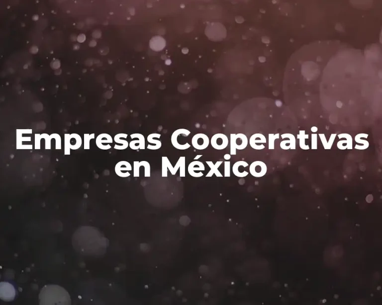 Empresas Cooperativas en México