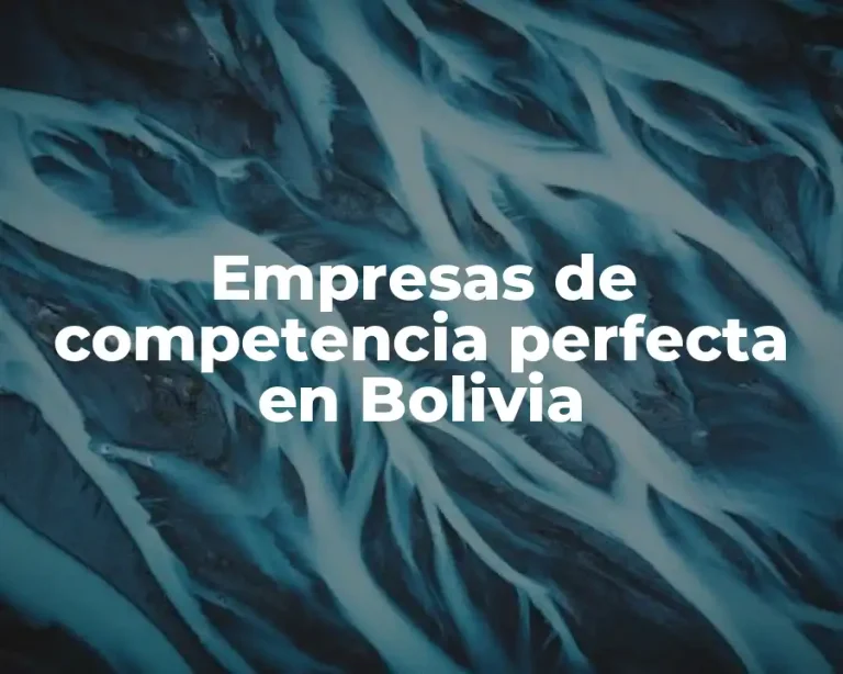 Empresas de competencia perfecta en Bolivia