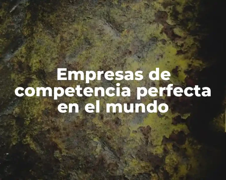 Empresas de competencia perfecta en el mundo