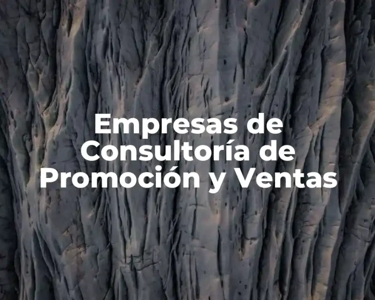Empresas de Consultoría de Promoción y Ventas