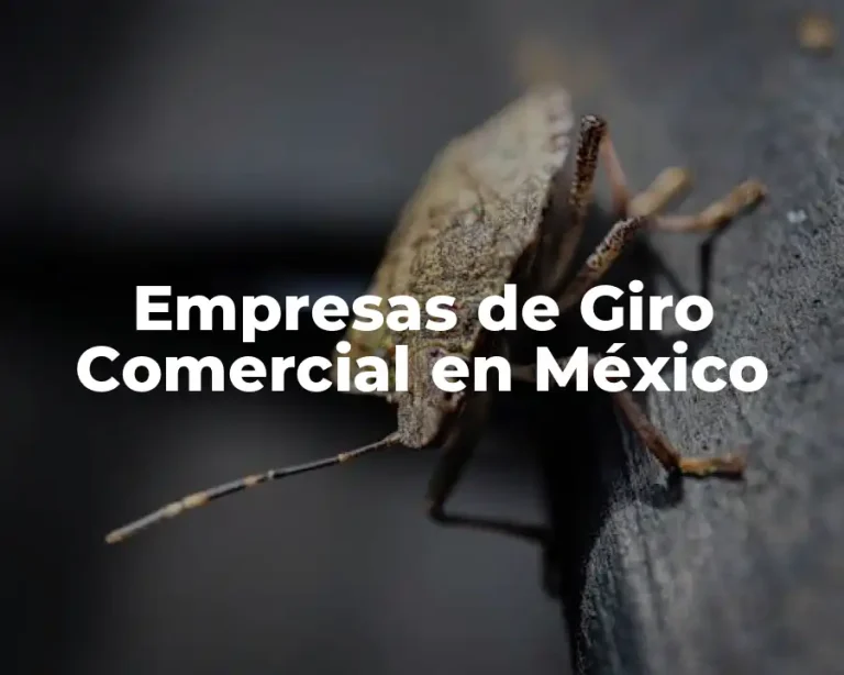 Empresas de Giro Comercial en México