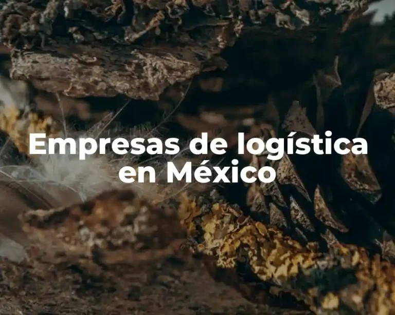 Empresas de logística en México