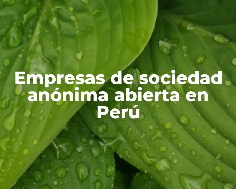 Empresas de sociedad anónima abierta en Perú