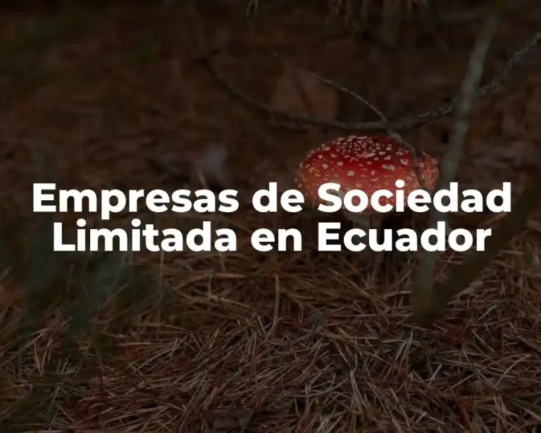 Empresas de Sociedad Limitada en Ecuador