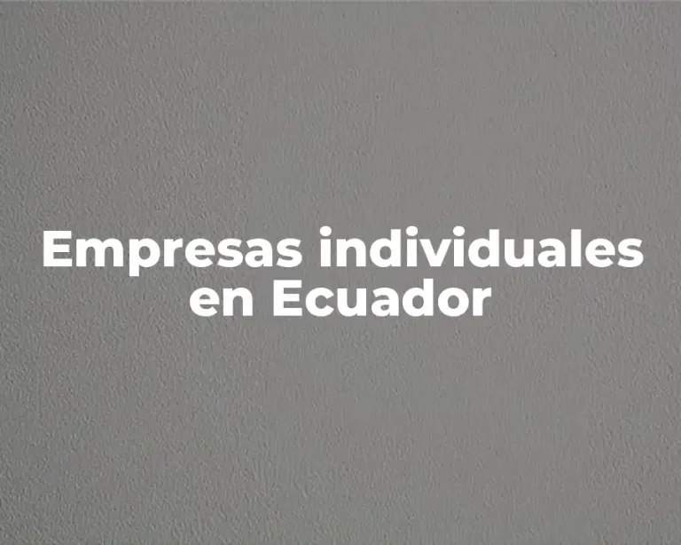 Empresas individuales en Ecuador