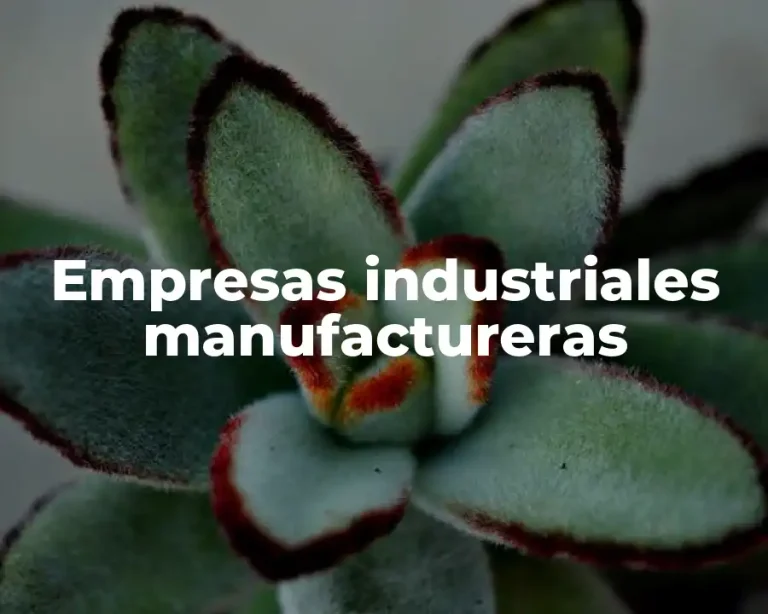 Empresas industriales manufactureras