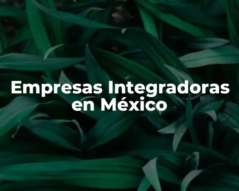 Empresas Integradoras en México