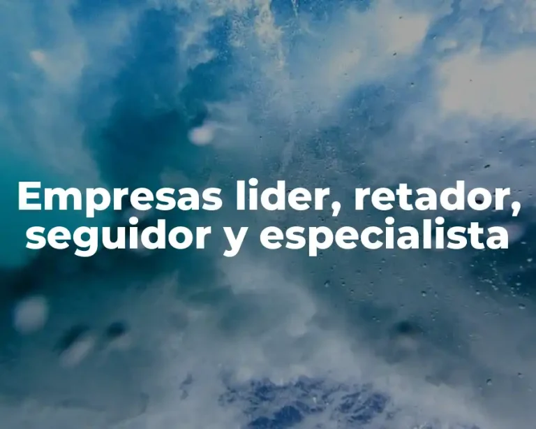 Empresas lider, retador, seguidor y especialista