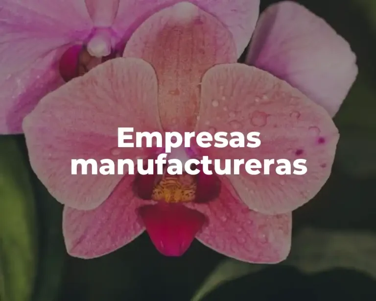 Empresas manufactureras