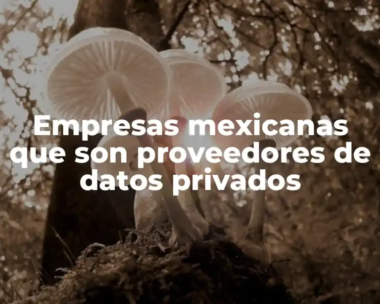 Empresas mexicanas que son proveedores de datos privados